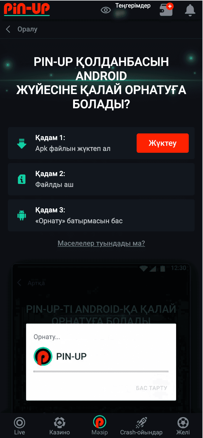 Установить приложение Пин Ап для Андроид