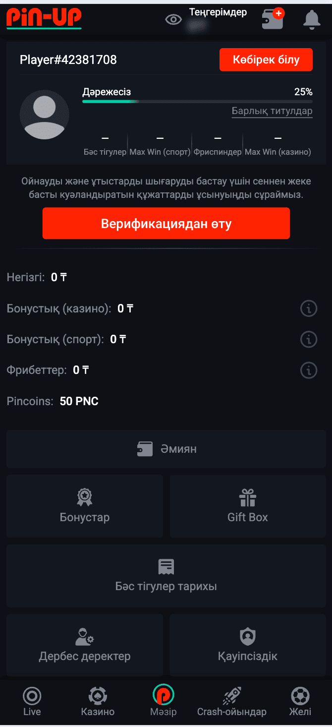 Верификация аккаунта в Пин Ап Казахстан